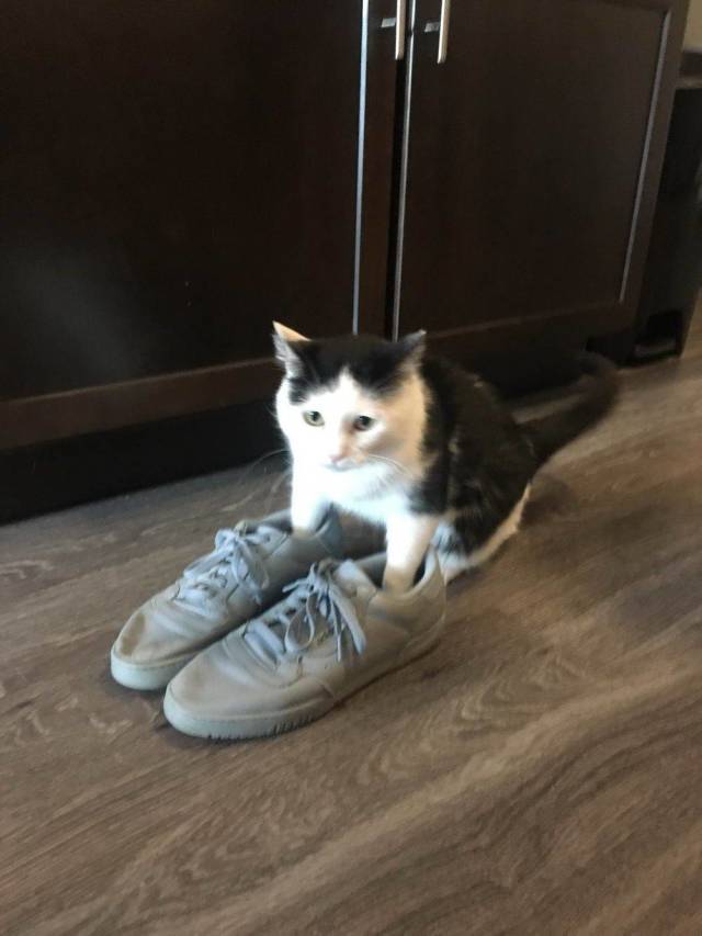 daily picdump 100 pics 45.html - 100 HD Photos | Premium Gallery 2018