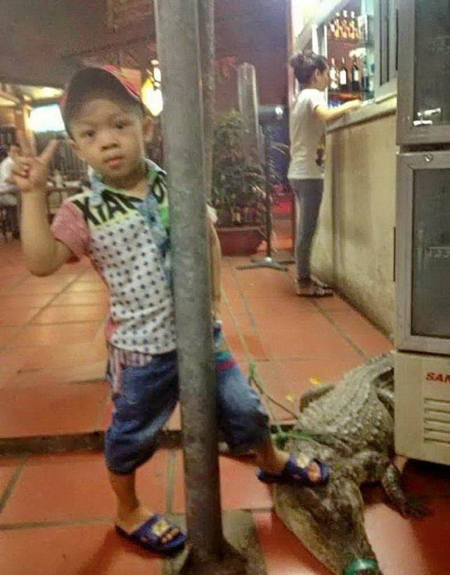 daily picdump 100 pics 45.html - 100 HD Photos | Premium Gallery 2018