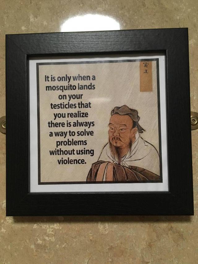 daily picdump 100 pics 45.html - 100 HD Photos | Premium Gallery 2018