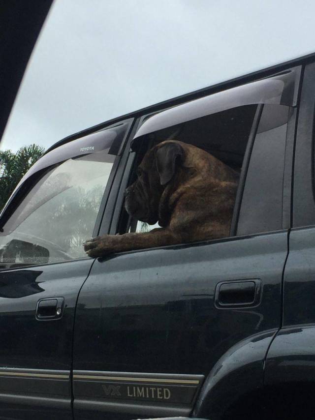 daily picdump 100 pics 45.html - 100 HD Photos | Premium Gallery 2018