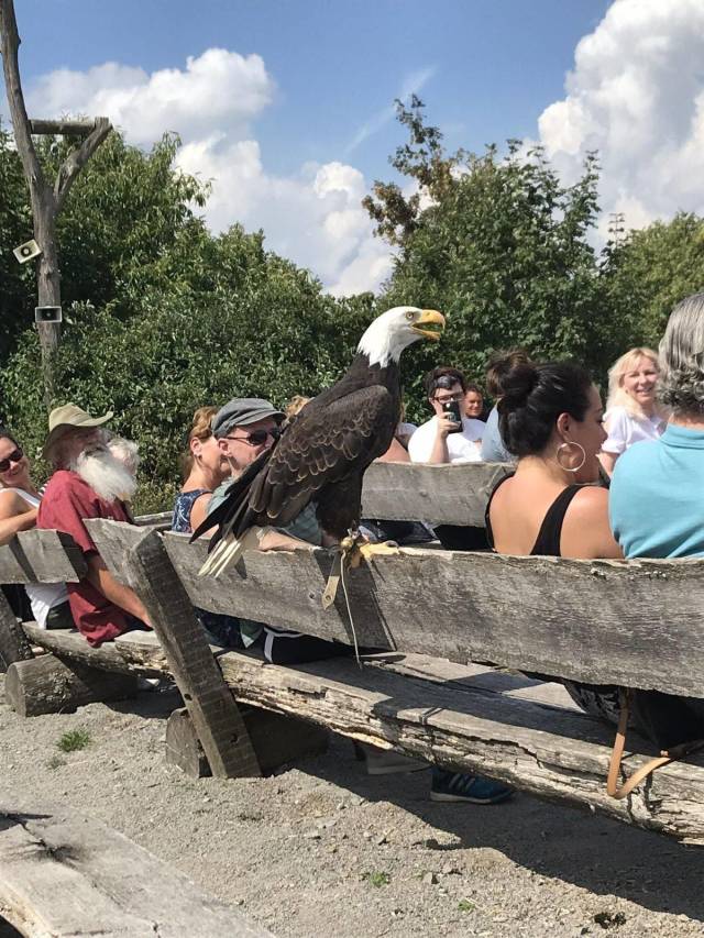 daily picdump 100 pics 45.html - 100 HD Photos | Premium Gallery 2018