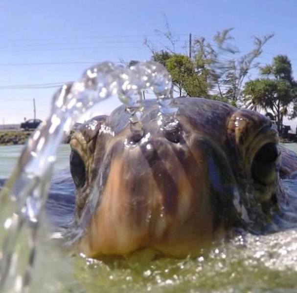 page,4,top 250 morning pics of the year 2018.html - 1 HD Photos | Premium Gallery 2018