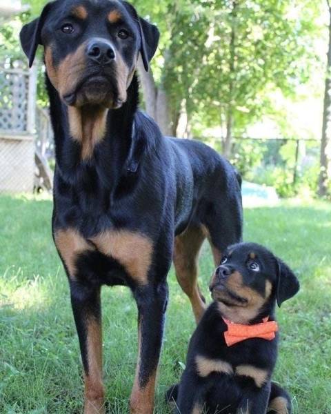 page,4,top 250 morning pics of the year 2018.html - 1 HD Photos | Premium Gallery 2018