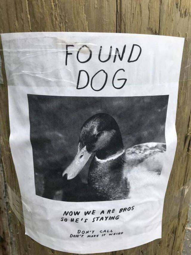 morning picdump 57 pics 9.html - 57 HD Photos | Premium Gallery 2018