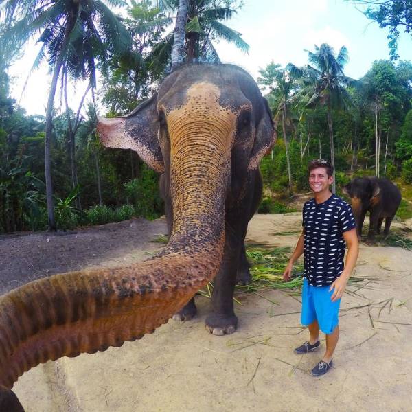 Are Your Eyes Playing Tricks On You?