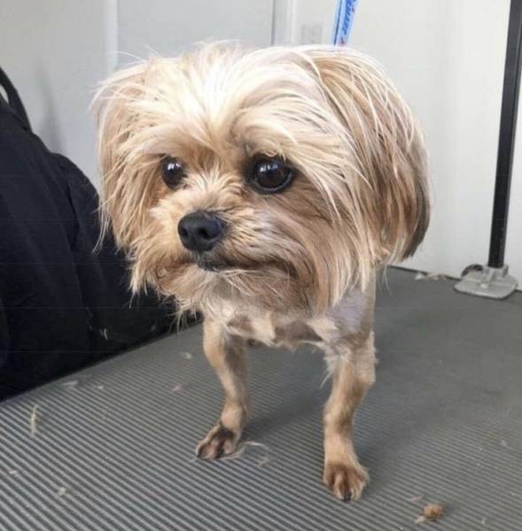 Are Your Eyes Playing Tricks On You?