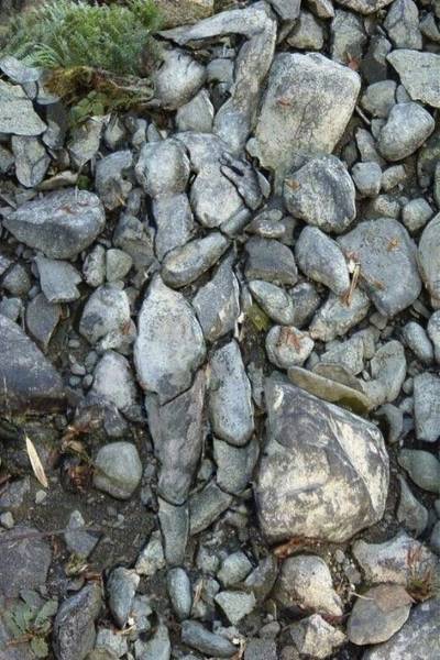 Are Your Eyes Playing Tricks On You?