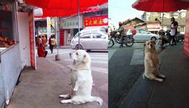 daily picdump 91 pics 8.html - 91 HD Photos | Premium Gallery 2018