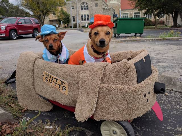 daily picdump 91 pics 8.html - 91 HD Photos | Premium Gallery 2018