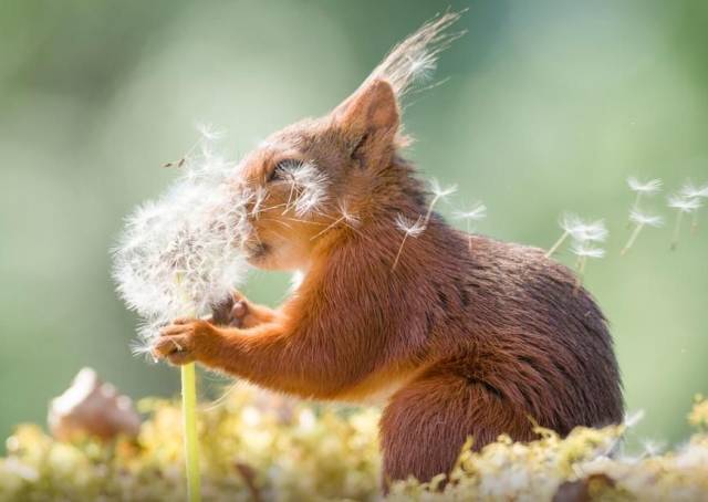 daily picdump 91 pics 8.html - 91 HD Photos | Premium Gallery 2018