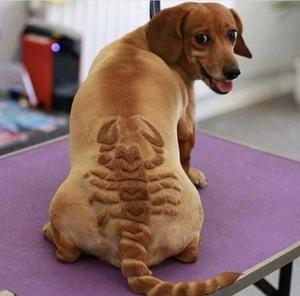 daily picdump 91 pics 8.html - 91 HD Photos | Premium Gallery 2018