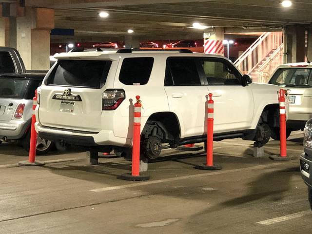 daily picdump 91 pics 8.html - 91 HD Photos | Premium Gallery 2018