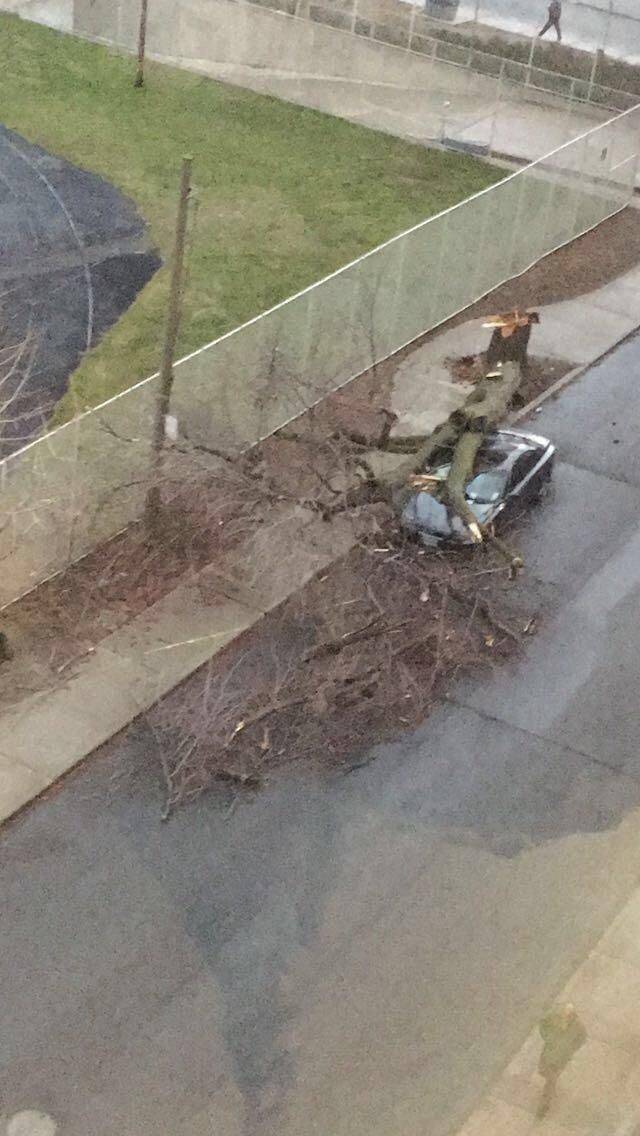 daily picdump 91 pics 8.html - 91 HD Photos | Premium Gallery 2018