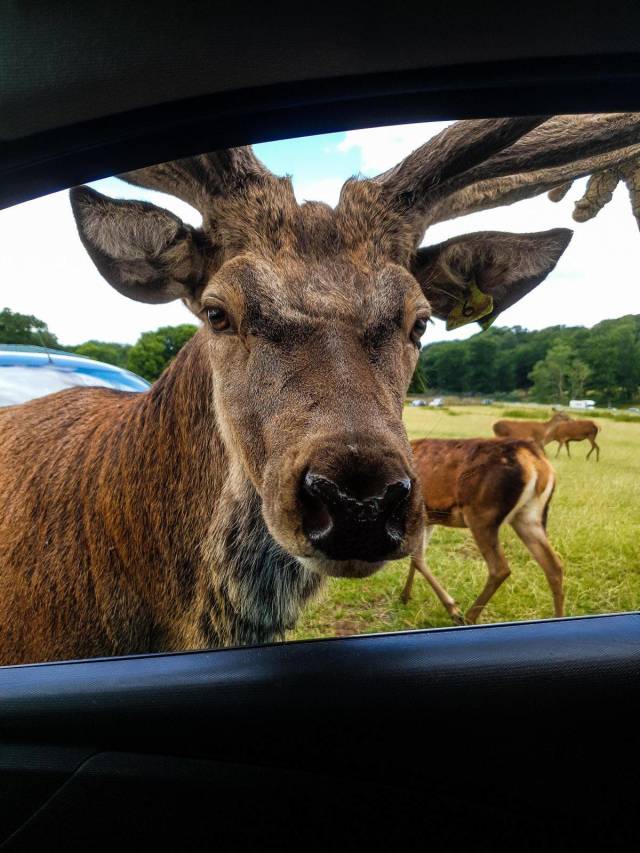 daily picdump 91 pics 8.html - 91 HD Photos | Premium Gallery 2018