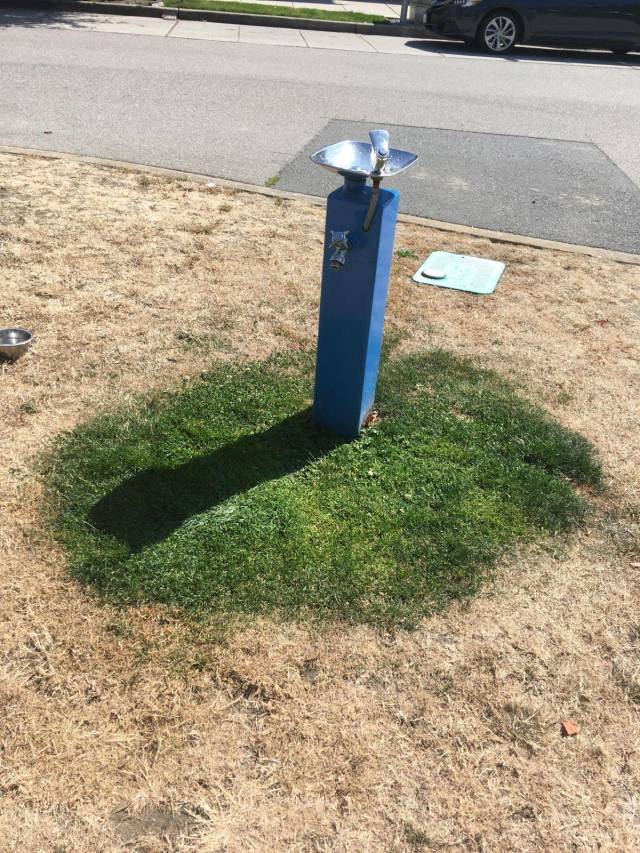 daily picdump 91 pics 8.html - 91 HD Photos | Premium Gallery 2018