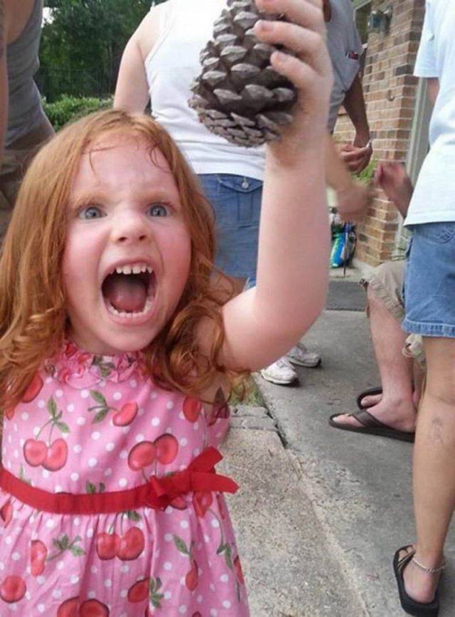 daily picdump 91 pics 8.html - 91 HD Photos | Premium Gallery 2018