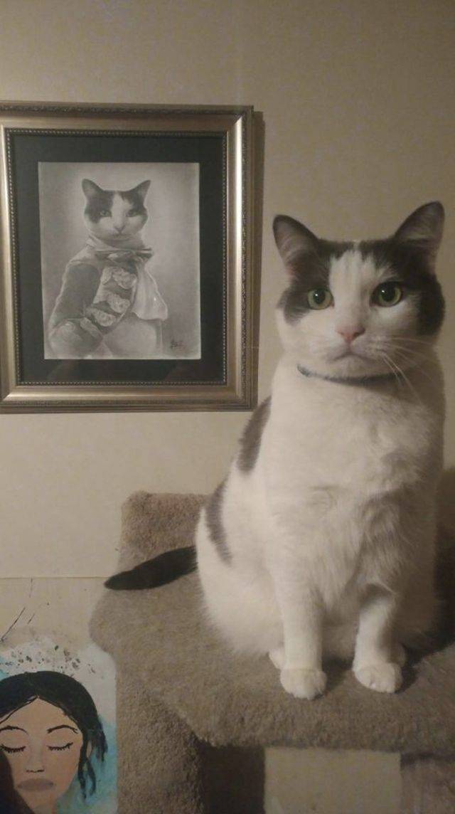 daily picdump 91 pics 8.html - 91 HD Photos | Premium Gallery 2018