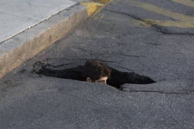 Hard-to-explain WTF Photos