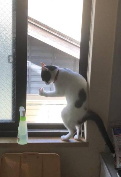 morning picdump 51 pics 44.html - 51 HD Photos | Premium Gallery 2018