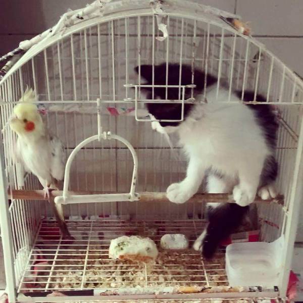 daily picdump 99 pics 7.html - 99 HD Photos | Premium Gallery 2018