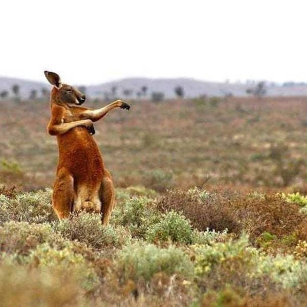 daily picdump 99 pics 7.html - 99 HD Photos | Premium Gallery 2018