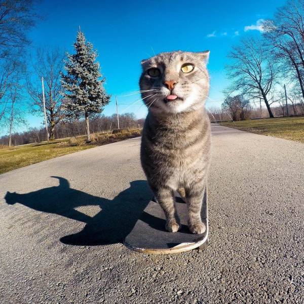 daily picdump 99 pics 7.html - 99 HD Photos | Premium Gallery 2018