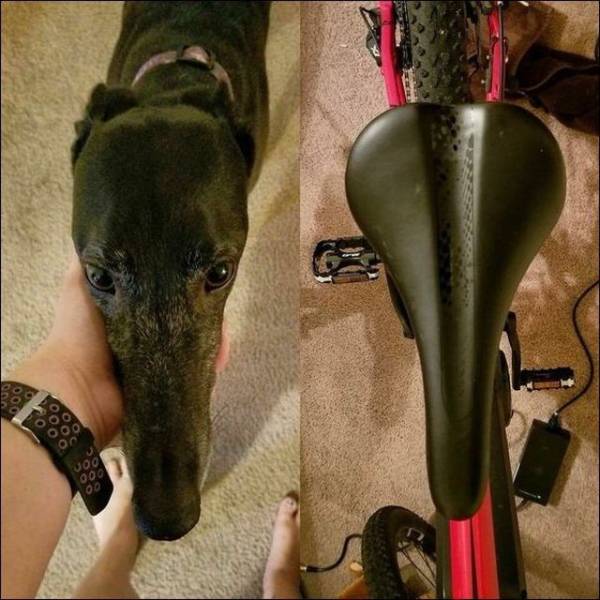 daily picdump 99 pics 7.html - 99 HD Photos | Premium Gallery 2018