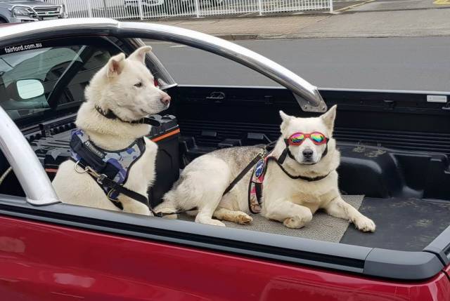 daily picdump 99 pics 7.html - 99 HD Photos | Premium Gallery 2018