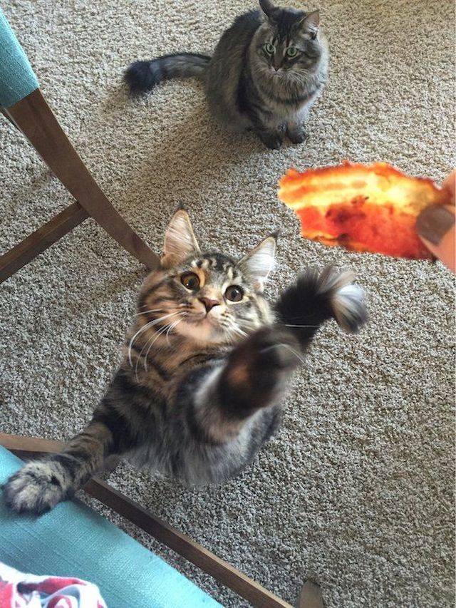 daily picdump 99 pics 7.html - 99 HD Photos | Premium Gallery 2018