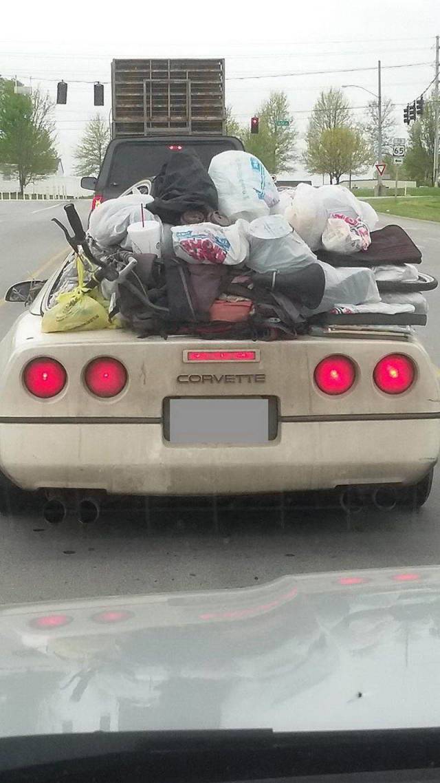 daily picdump 99 pics 7.html - 99 HD Photos | Premium Gallery 2018