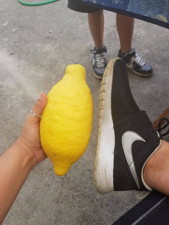 daily picdump 99 pics 7.html - 99 HD Photos | Premium Gallery 2018