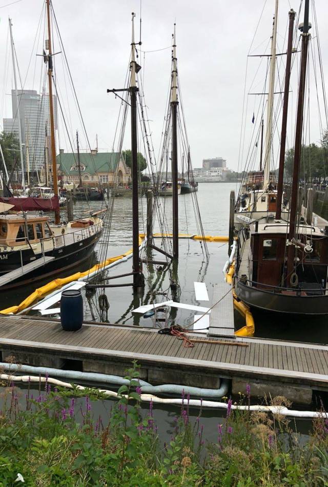 daily picdump 99 pics 7.html - 99 HD Photos | Premium Gallery 2018