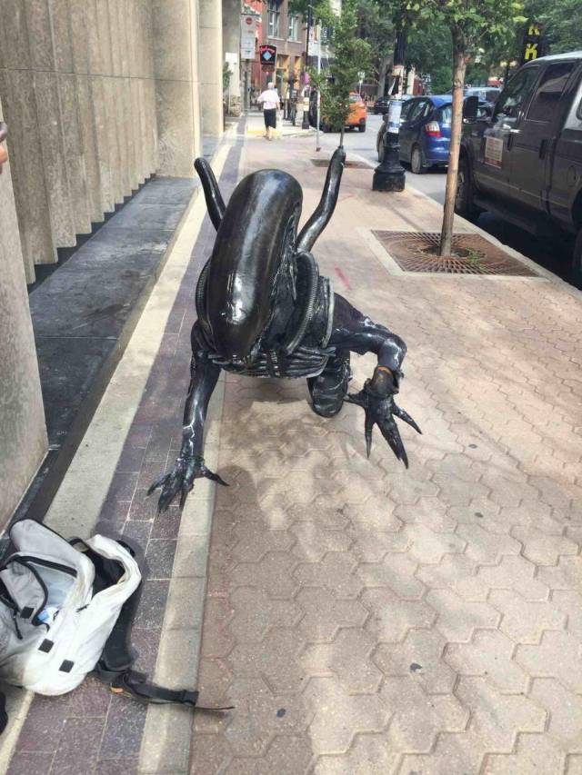 daily picdump 99 pics 7.html - 99 HD Photos | Premium Gallery 2018