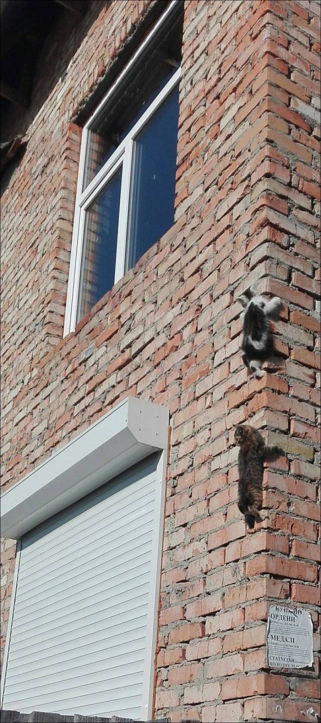 daily picdump 99 pics 7.html - 99 HD Photos | Premium Gallery 2018