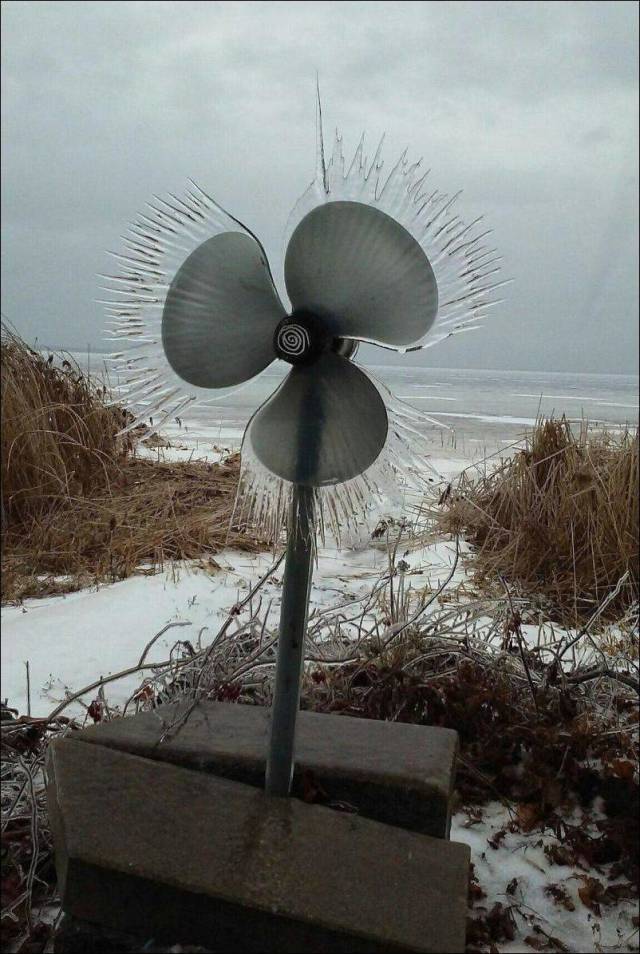 daily picdump 99 pics 7.html - 99 HD Photos | Premium Gallery 2018