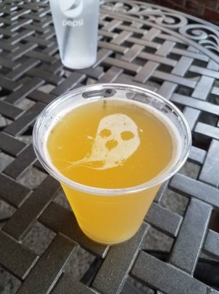 daily picdump weekend edition 51 pics 21.html - 51 HD Photos | Premium Gallery 2018