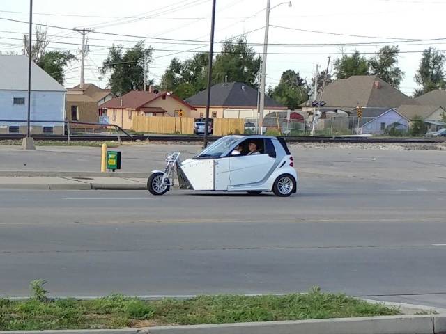 daily picdump weekend edition 51 pics 21.html - 51 HD Photos | Premium Gallery 2018