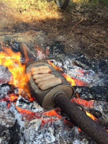 daily picdump weekend edition 51 pics 21.html - 51 HD Photos | Premium Gallery 2018