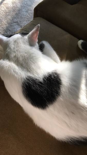 daily picdump weekend edition 51 pics 21.html - 51 HD Photos | Premium Gallery 2018