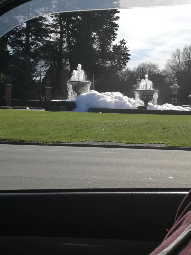 daily picdump weekend edition 51 pics 21.html - 51 HD Photos | Premium Gallery 2018