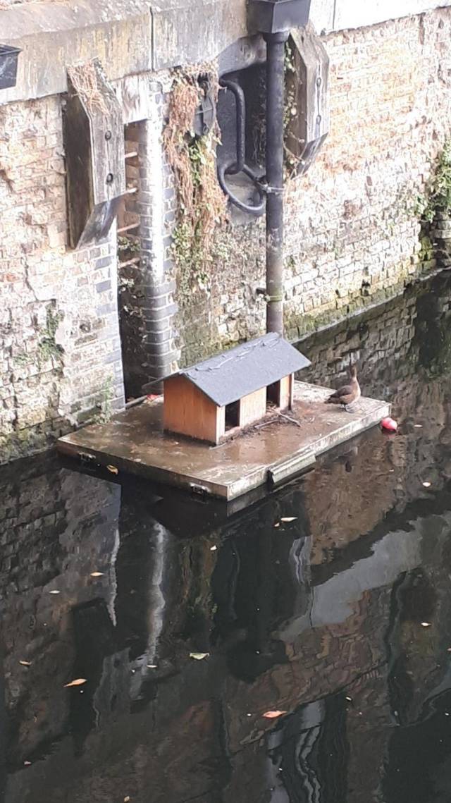 daily picdump weekend edition 51 pics 21.html - 51 HD Photos | Premium Gallery 2018