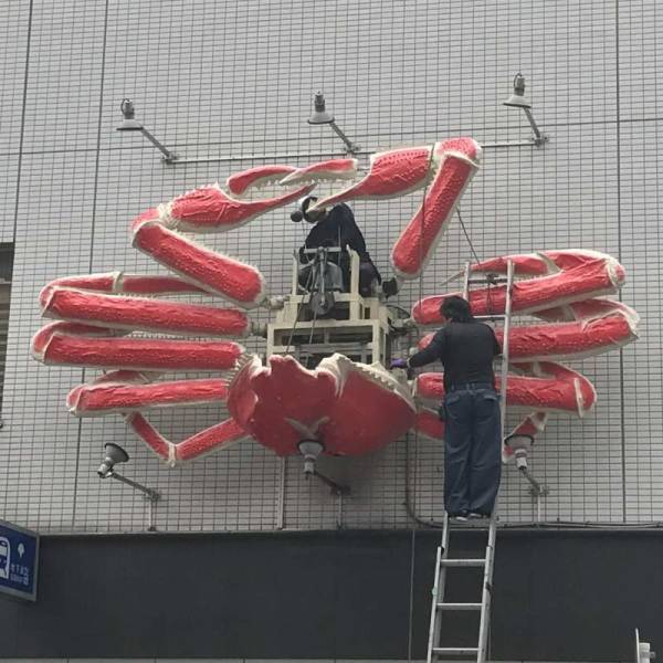 daily picdump 84 pics 9.html - 84 HD Photos | Premium Gallery 2018