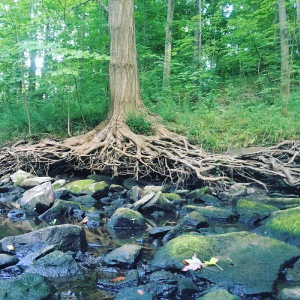 daily picdump 84 pics 9.html - 84 HD Photos | Premium Gallery 2018