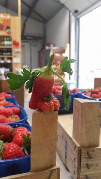 daily picdump 84 pics 9.html - 84 HD Photos | Premium Gallery 2018