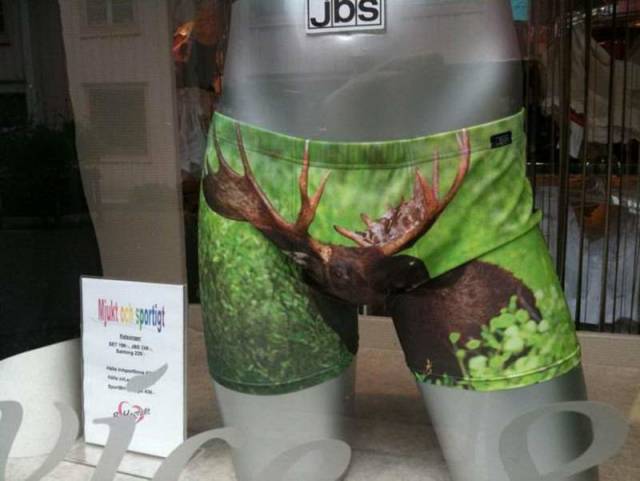 daily picdump 84 pics 9.html - 84 HD Photos | Premium Gallery 2018