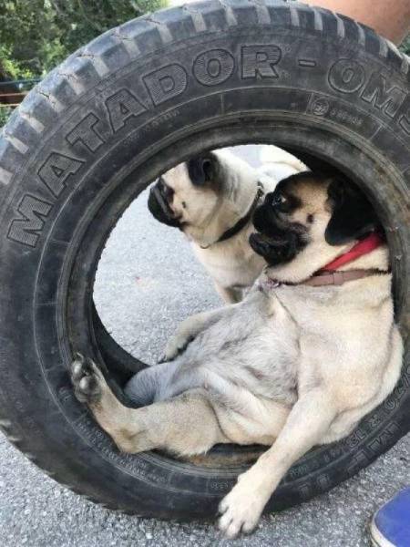 daily picdump 84 pics 9.html - 84 HD Photos | Premium Gallery 2018