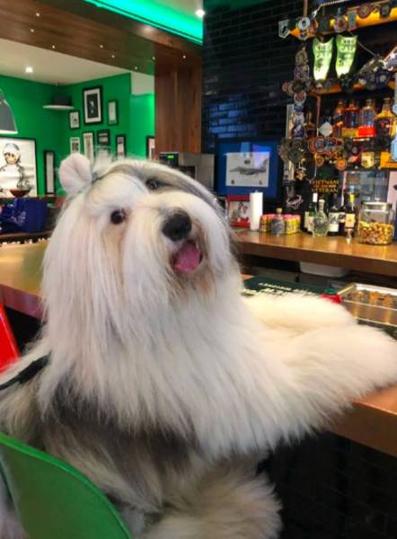 daily picdump 84 pics 9.html - 84 HD Photos | Premium Gallery 2018