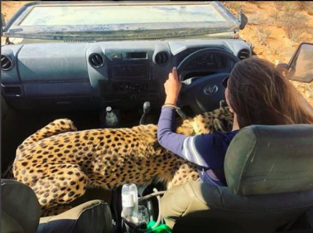 daily picdump 84 pics 9.html - 84 HD Photos | Premium Gallery 2018