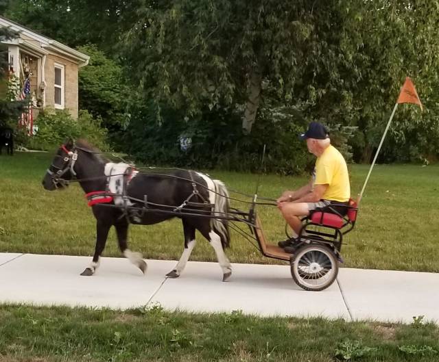 Morning Picdump