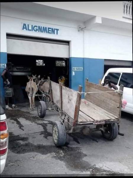 morning picdump 54 pics 1.html - 54 HD Photos | Premium Gallery 2018